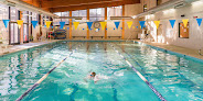 Your swimming lessons for adults Green Hills Family Ymca in Nashville in Davidson