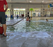 Your swimming lessons for adults Harris County Community Center in Hamilton in Harris County
