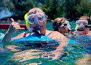 Your swimming lessons for adults Hilo Ocean Adventures in Hilo in Hawaii