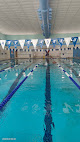 Your swimming lessons for adults Hutchinson Ymca in Hutchinson in Kansas