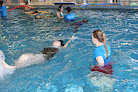 Your swimming lessons for adults Into The Swim in Fairfield in Essex