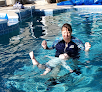 Wedding venue Isr Florida Aquatics in Brandon