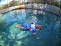Your swimming lessons for adults Isr Swim Babies in New Port Richey in New Port Richey, FL