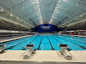 Wedding venue Iu Natatorium At Iu Indianapolis in Indianapolis