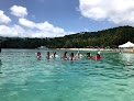 Your swimming lessons for adults Jj Divers St Thomas in St Thomas in Virgin Islands