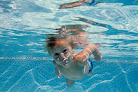 Your swimming lessons for adults Knoxville Survival Swim Academy in Knoxville in TN