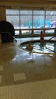 Your swimming lessons for adults Larry Joe Harless Community Center in Gilbert in Gilbert, WV