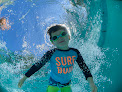 Wedding venue Let Us Swim in Lauderhill