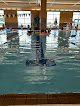 Your swimming lessons for adults Life Time in Brookfield in Wisconsin
