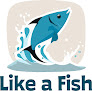 Your swimming lessons for adults Like A Fish in Oklahoma City in OK