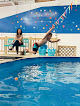 Your swimming lessons for adults Little Fins Swim Academy in Harahan in Louisiana