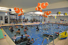 Your swimming lessons for adults Little Flippers Swim School - Winchester in Winchester in Massachusetts