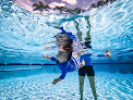 Your swimming lessons for adults Little Gators Swim - Isr in Auburndale in Florida
