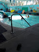 Your swimming lessons for adults Little One's Swim in Reno in Nevada