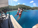 Your swimming lessons for adults Local Flavor Charters Llc in Cruz Bay in St John