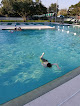 Your swimming lessons for adults Loretta Ingraham Center And Pool in Tampa in Florida