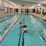 Your swimming lessons for adults Macomb Family Ymca in Mt Clemens in Michigan
