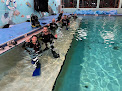 Your swimming lessons for adults Mac's Sports Inc. in Clearwater in Florida