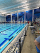 Your swimming lessons for adults Mars Swimming in Arlington in Tarrant