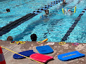 Your swimming lessons for adults Mcleod Family Ymca in Albuquerque in Bernalillo