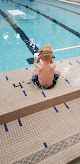 Your swimming lessons for adults Millard North Learn To Swim in Omaha in Douglas