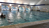 Your swimming lessons for adults Millbrook Exchange Pool in Raleigh in Wake