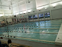 Your swimming lessons for adults Missouri State Aquatics in Springfield in Springfield, MO