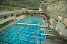 Your swimming lessons for adults Mit Recreation - Swim Lessons in Cambridge in Massachusetts
