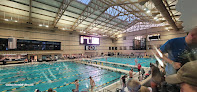 Your swimming lessons for adults Mizzou Aquatic Center in Columbia in MO