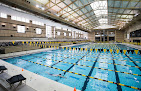 Your swimming lessons for adults Mizzourec in Columbia in Missouri