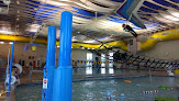 Your swimming lessons for adults Monett Area Ymca in Monett in Missouri