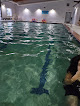 Your swimming lessons for adults Mt Hood Athletic Club in Sandy in Oregon