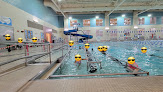 Your swimming lessons for adults Mtsu Campus Recreation in Murfreesboro in Rutherford