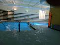 Your swimming lessons for adults Mvp Athletic Club, Rockford in Rockford in Michigan
