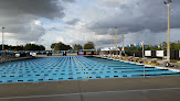 Your swimming lessons for adults Naples Swim School Inc in Naples in Naples, FL