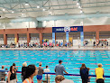Your swimming lessons for adults Nashville Aquatic Club in Nashville in TN