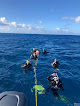 Your swimming lessons for adults Nep2Une Scuba Diving in Frederiksted in St Croix