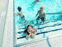 Your swimming lessons for adults New Tazewell Municipal Pool in New Tazewell in Claiborne