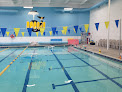 Your swimming lessons for adults Noonan Family Swim School, Inc. - Carlsbad, Ca in Carlsbad in California