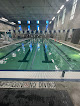 Your swimming lessons for adults North Austin Ymca in Austin in Travis