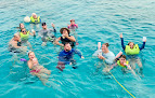 Your swimming lessons for adults Ocean Surfari - Reef Surfari Snorkel Excursions in Red Hook in St Thomas