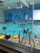 Your swimming lessons for adults Oklahoma Swim Academy - Bryant Square in Edmond in OK