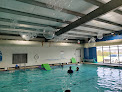 Your swimming lessons for adults Oklahoma Swim Academy (Okc) in Oklahoma City in OK