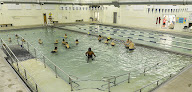 Your swimming lessons for adults Olathe Family Ymca in Olathe in Kansas