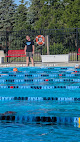 Your swimming lessons for adults O'neil Aquatics Center in Bloomington in IL