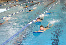 Your swimming lessons for adults Pavilion Aquatics Center in Elk Grove Village in IL
