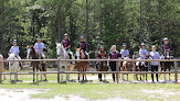 Your swimming lessons for adults Pony Gang Equestrian Services in Hopkins in South Carolina