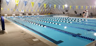 Your swimming lessons for adults Quest Swimming in Midlothian in Virginia
