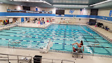 Your swimming lessons for adults Recreation Center in Allendale in Michigan