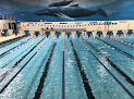 Your swimming lessons for adults Royal Swimming in Madison Heights in MI